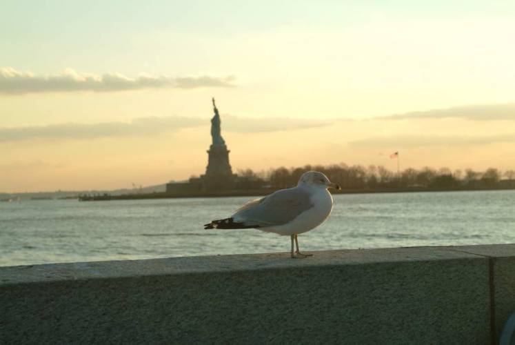 NYC_2006-12-05 15-51-49